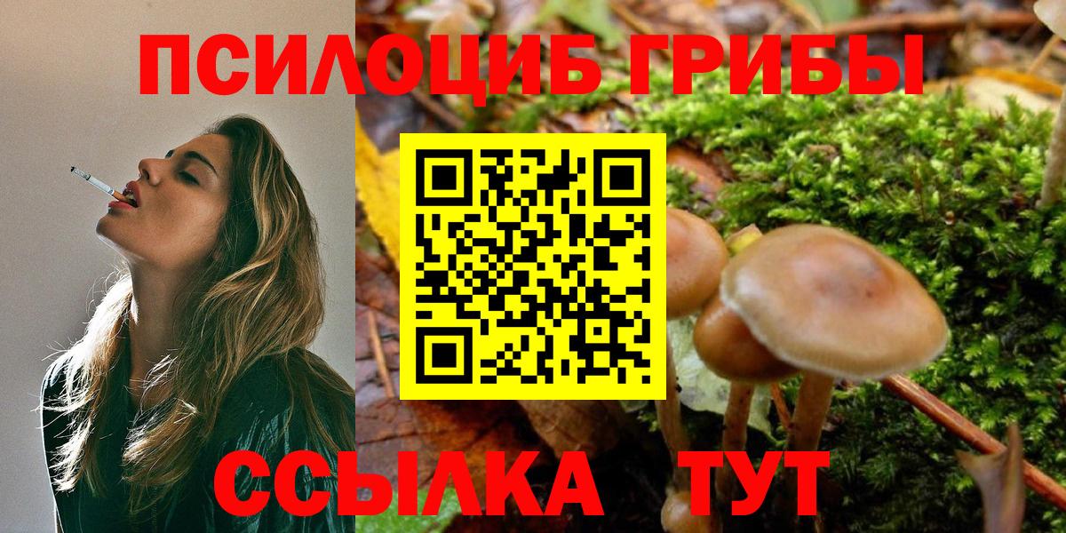 Псилоцибиновые грибы мицелий  Псилоцибиновые грибы Psilocybine cubensis  Вход с VPN  Электрогорск 