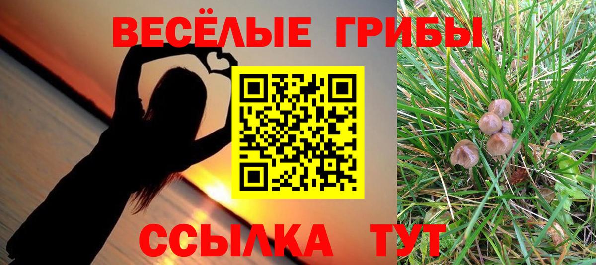 Галлюциногенные грибы мицелий Электрогорск